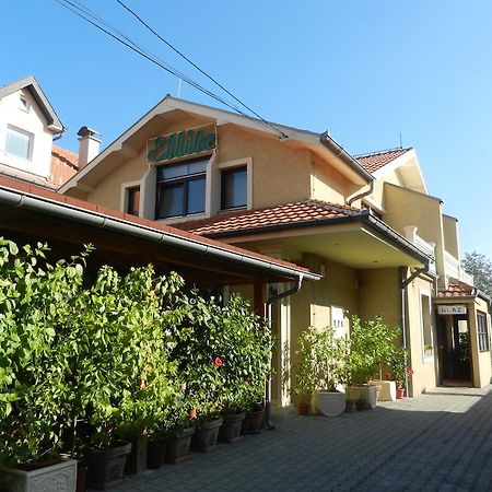 Guesthouse Ellite Požarevac 外观 照片